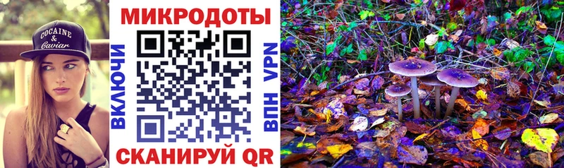 закладки Уссурийск Псилоцибиновые грибы GOLDEN TEACHER