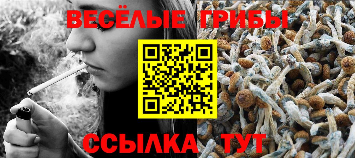 Галлюциногенные грибы прущие грибы  Вход с VPN  Уссурийск 
